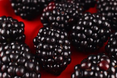 Koç burcu yakın çekimde.