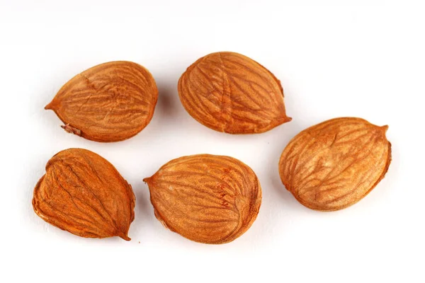 Apricot Kernels White Background — Stock Photo, Image