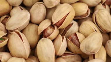 Çam fıstığı. Çok yararlı fındık var. Yakın plan.