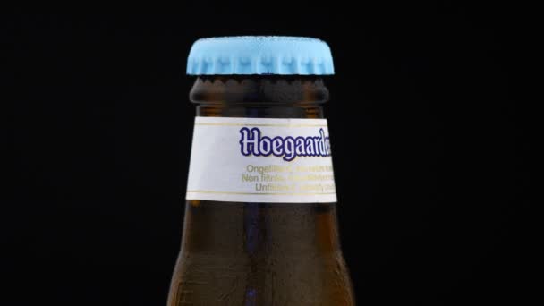 Lviv Ukraine July 2021 Belgian Wheat Beer Glass Bottle — 图库视频影像