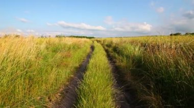 Güzel yaz yolu ve güneşli hava