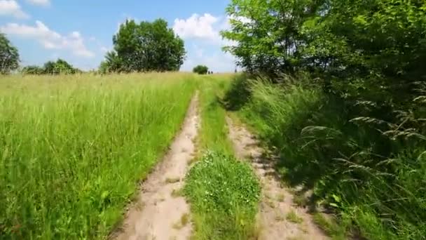 Piękna Droga Latem Słoneczna Pogoda — Wideo stockowe