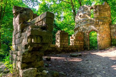 Ormandaki eski bir kalenin kalıntıları.