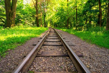 Yaz parkında demiryolu