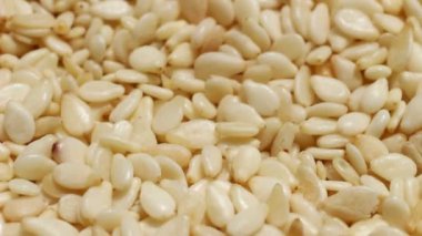Susam beyaz tohumu yakın çekimde döner