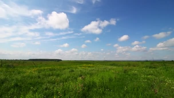 Прекрасний Літній Пейзаж Зеленою Травою Блакитним Небом — стокове відео
