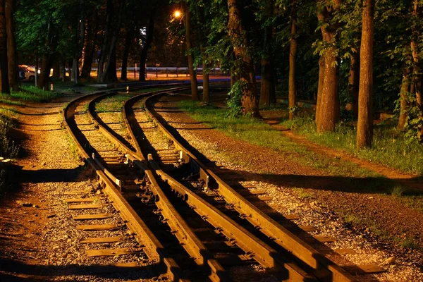Akşamları Güzel Demiryolu Rayları — Stok fotoğraf