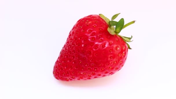 Satu Strawberry Pada Latar Belakang Putih — Stok Video