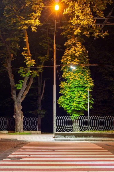 Cruce Peatonal Verano Por Noche — Foto de Stock