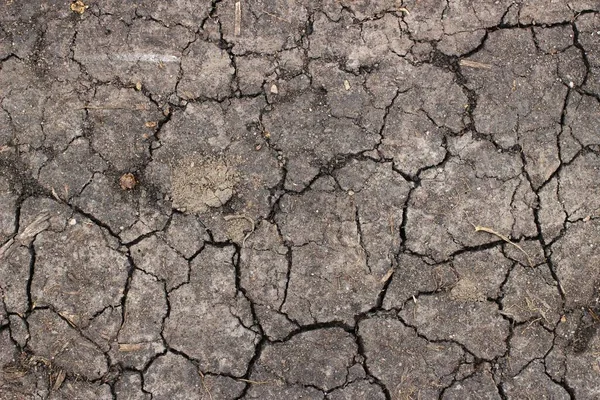 Cracked Dry Land Close — Stock Photo, Image