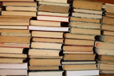 Büyük bir kitap yığını sıcak bir okuma alanını dolduruyor, keşif ve keşif yapmaya davet ediyor..