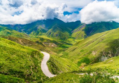 Arjantin 'in Salta Provence kentindeki Parque Nacional Los Cardones (Ulusal Park) parkında 40 numaralı yol boyunca terk edilmiş.
