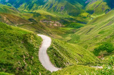 Arjantin 'in Salta Provence kentindeki Parque Nacional Los Cardones (Ulusal Park) parkında 40 numaralı yol boyunca terk edilmiş.