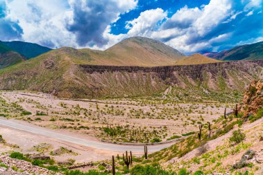 Arjantin 'in Salta Provence kentindeki Parque Nacional Los Cardones (Ulusal Park) parkında 40 numaralı yol boyunca terk edilmiş.