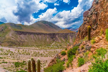 Salta Provence, Arjantin 'deki Parque Nacional Los Cardones Ulusal Parkı' nda renkli dağlar