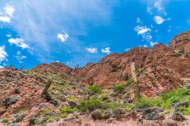 Salta Provence, Arjantin 'deki Parque Nacional Los Cardones Ulusal Parkı' nda renkli dağlar