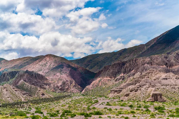 Salta Provence, Arjantin 'deki Parque Nacional Los Cardones Ulusal Parkı' nda renkli dağlar