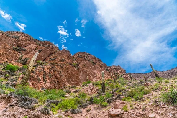 Salta Provence, Arjantin 'deki Parque Nacional Los Cardones Ulusal Parkı' nda renkli dağlar
