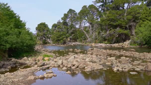 Small Creek Siete Lagos Area Close Bariloche Argentina South America — Stock Video