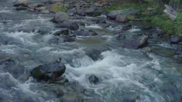 Szczegóły Wodospadu Chorrillo Del Salto Pobliżu Chalten Argentyna — Wideo stockowe