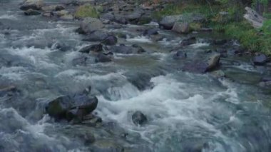 El Chalten, Arjantin yakınlarındaki Şelale 'nin (Chorrillo del Salto) detayları