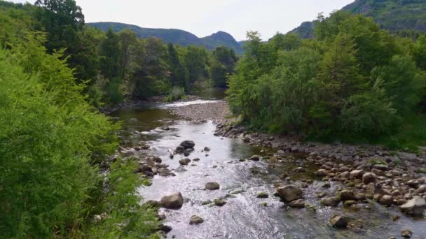 Liten Flod Vid Siete Lagos Området Nära Bariloche Argentina Sydamerika — Stockvideo