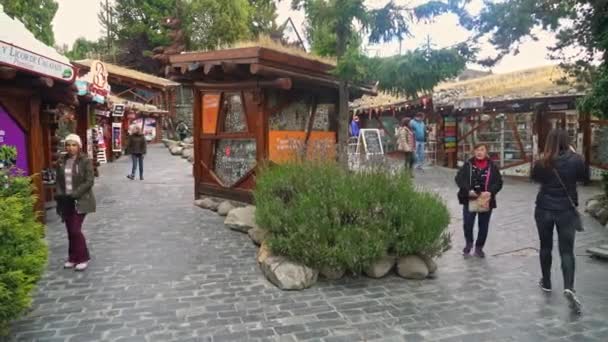 Compras Turistas Calle Principal Calafate Patagonia Argentina Marzo 2019 — Vídeos de Stock