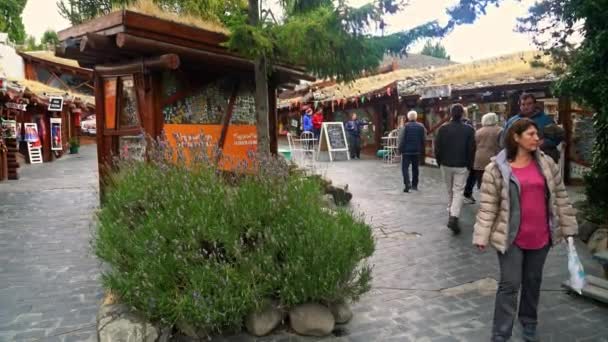 Turister Som Handlar Huvudgatan Calafate Patagonien Argentina Mars 2019 — Stockvideo
