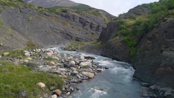 Liten Flod Vid Torres Del Paine Bergskedja Chile Mars 2019 — Stockvideo