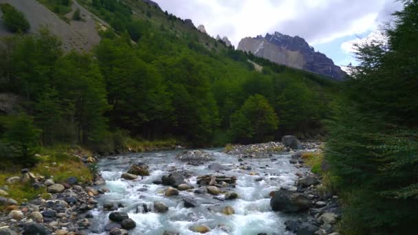 Mała Rzeka Pasmie Górskim Torres Del Paine Chile Marca 2019 — Wideo stockowe