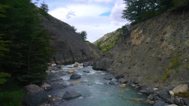 Liten Flod Vid Torres Del Paine Bergskedja Chile Mars 2019 — Stockvideo