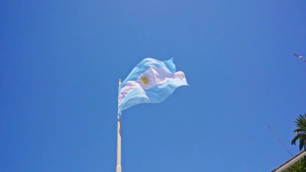 Large Argentinan Flag Pole Sunny Day — Stock Video
