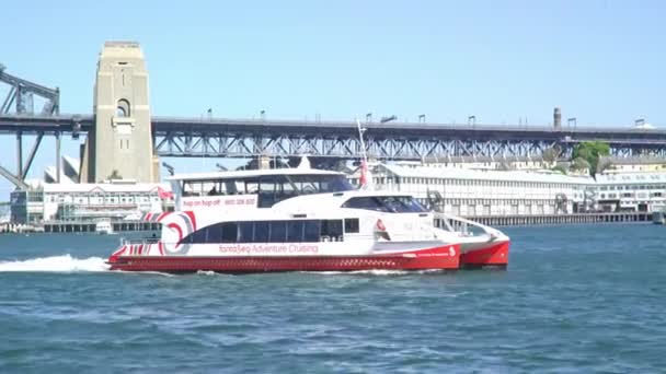Locali Turisti Trasportati Dentro Fuori Dal Porto Sydney Traghetto Sydney — Video Stock