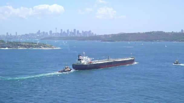 Επισκόπηση Του Λιμανιού Του Σίδνεϊ Ένα Φορτηγό Πλοίο Που Πλέουν — Αρχείο Βίντεο