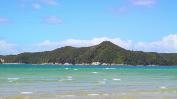 新西兰Abel Tasman公园 新西兰Sea Abel Tasman国家公园 — 图库视频影像