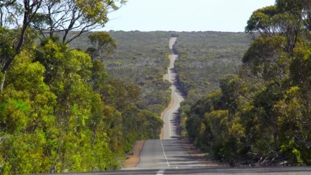 Verlaten Australische Weg Kangaroo Island Het Zuiden Van Australië — Stockvideo