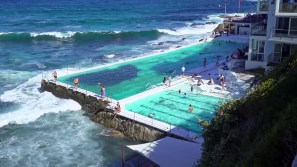 Yerel Halk Turistler Ünlü Bondi Sahilinde Güneşin Tadını Çıkarıyorlar — Stok video