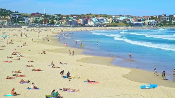 Locals Tourists Enjoying Sun Famous Bondi Beach — Stock Video