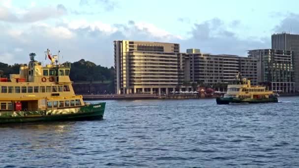 Místní Obyvatelé Turisté Jsou Přepravováni Přístavu Sydney Něj Trajektu Sydney — Stock video