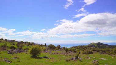 Dağları, otlakları ve ormanları görün Güney Adası Yeni Zelanda 'yı