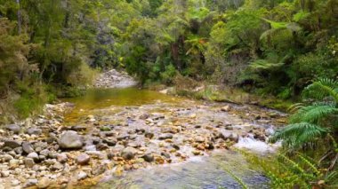 Park Abel Tasman, Yeni Zelanda, Creek Abel Tasman Ulusal Parkı, Yeni Zelanda