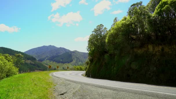 Paisagem Perto Havelock Ilha Sul Nova Zelândia — Vídeo de Stock