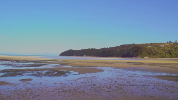 Uitzicht Bergen Bossen Vanaf Kust Het Zuid Eiland Nieuw Zeeland — Stockvideo