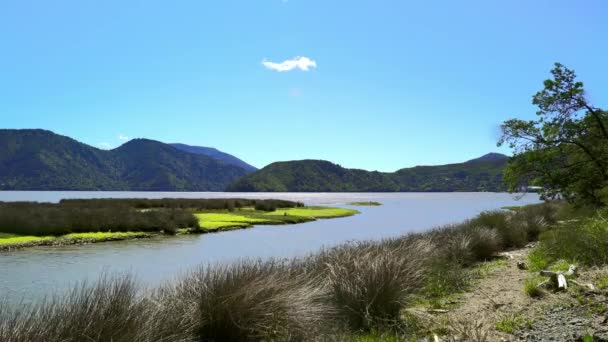 Paisaje Cerca Havelock Isla Sur Nueva Zelanda — Vídeos de Stock