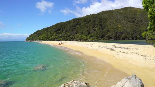 公園アベル タスマン ニュージーランド 2016年10月ビーチのカノを準備する人々アベル タスマン国立公園 ニュージーランド — ストック動画