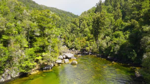 Park Abel Tasman Nieuw Zeeland Creek Abel Tasman National Park — Stockvideo