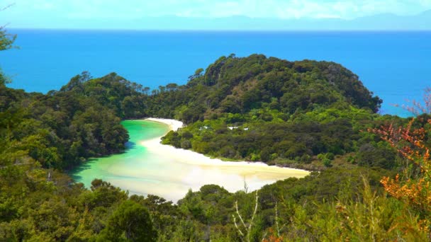 Park Abel Tasman Nieuw Zeeland Medium Overzicht Abel Tasman National — Stockvideo
