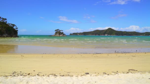 Park Abel Tasman Nowa Zelandia Plaża Park Narodowy Abel Tasman — Wideo stockowe