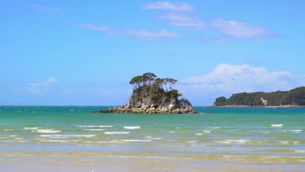 Park Abel Tasman Nova Zelândia Pequena Costa Costeira Ilha Parque — Vídeo de Stock