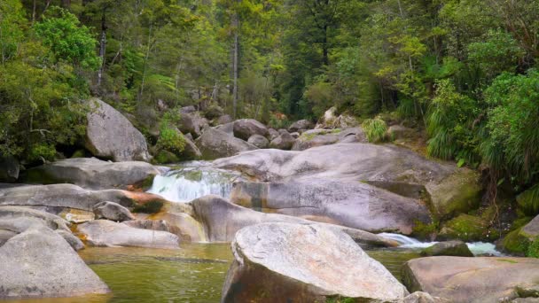 Park Abel Tasman Nova Zelândia Water Flowing Rocks Parque Nacional — Vídeo de Stock